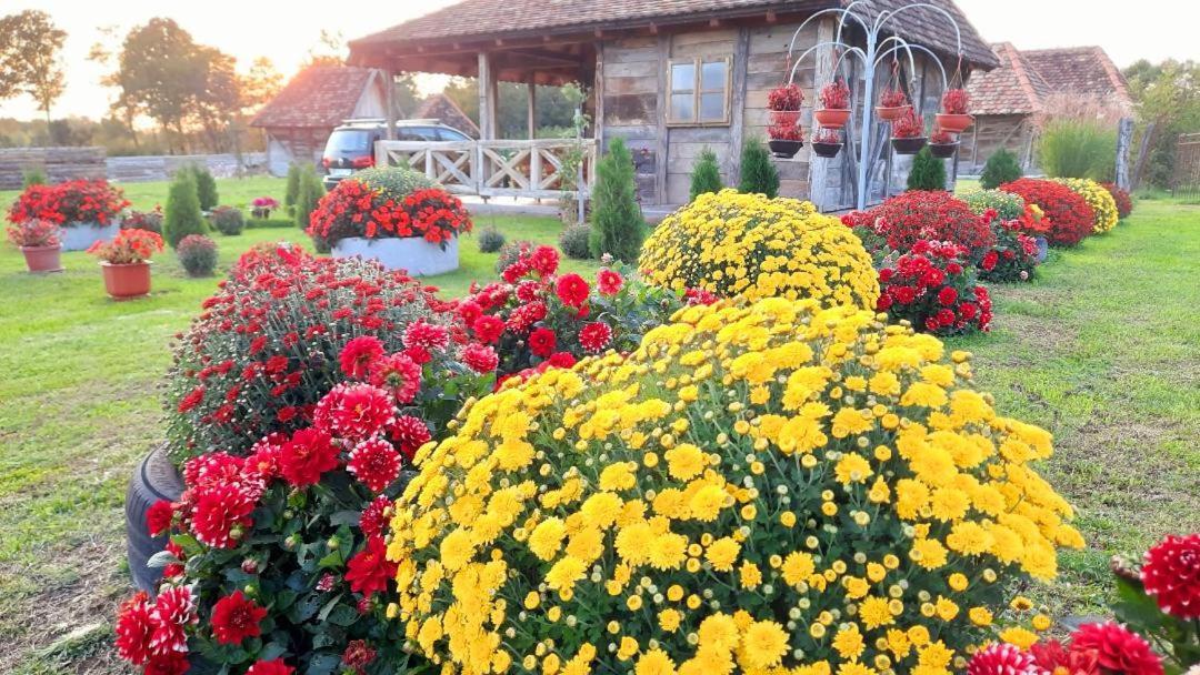 Etno Selo Eden Zeravacki Potok Exterior foto